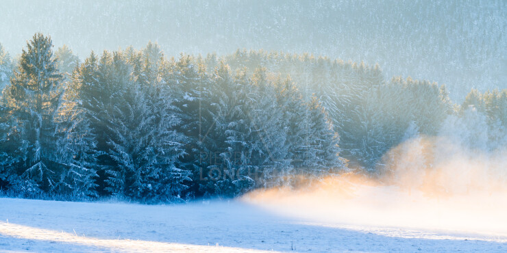 OTI_PIERRE-LONCHAMPT_PL240113-02407