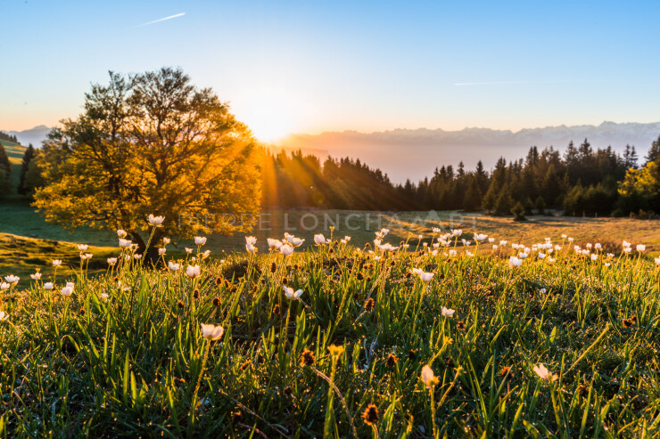 OTI_PIERRE-LONCHAMPT_PL190601-005