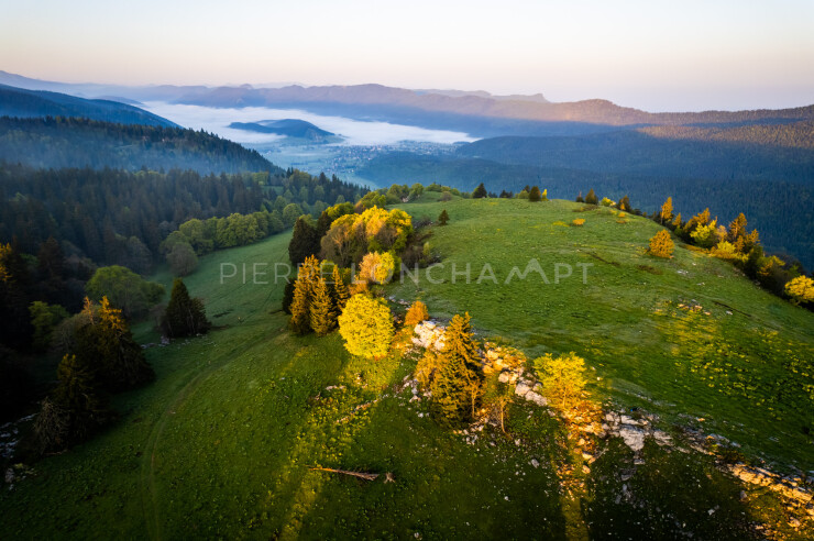 OTI_PIERRE-LONCHAMPT_PL230527-0544-D