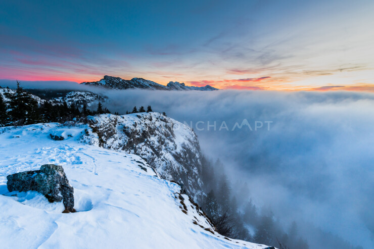 OTI_PIERRE-LONCHAMPT_PL190126-001