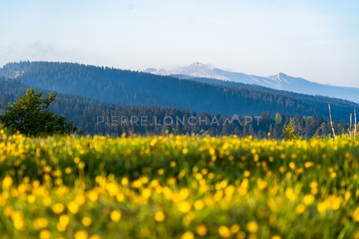 OTI_PIERRE-LONCHAMPT_PL230527-00144