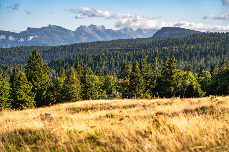 OTI_PIERRE-LONCHAMPT_PL250905-0124
