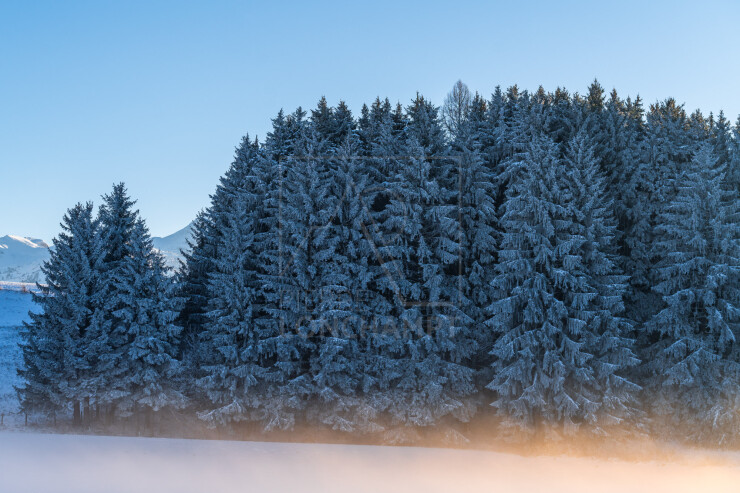 OTI_PIERRE-LONCHAMPT_PL240113-02413