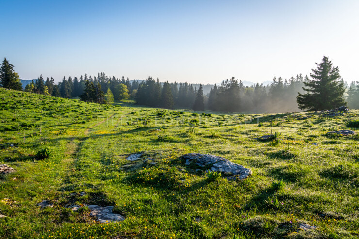 OTI_PIERRE-LONCHAMPT_PL230527-00146