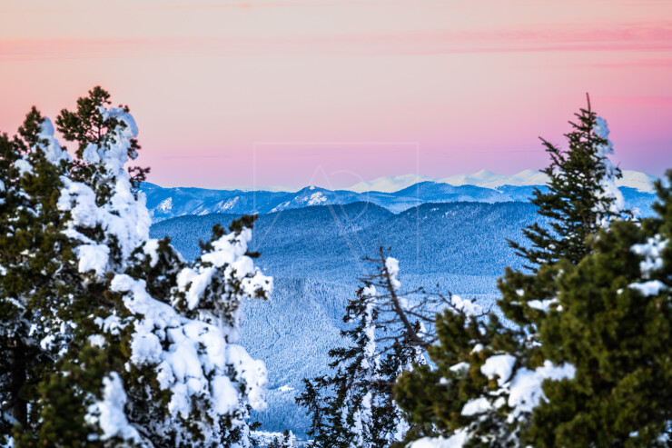 OTI_PIERRE-LONCHAMPT_PL240113-02374