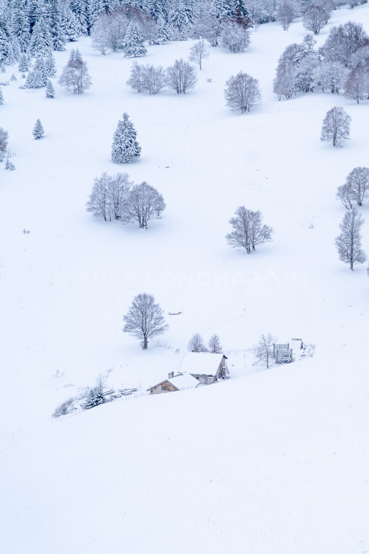OTI_PIERRE-LONCHAMPT_PL221203-00121