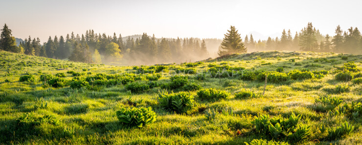 OTI_PIERRE-LONCHAMPT_PL230527-00136-PAN