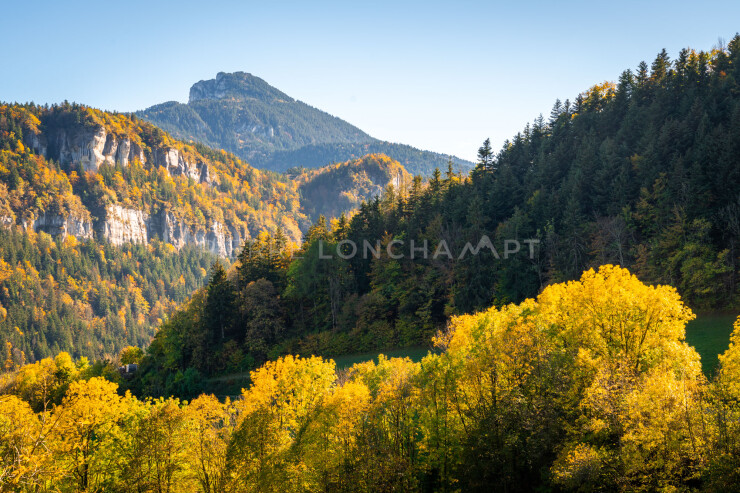 OTI_PIERRE-LONCHAMPT_PL221022-01109