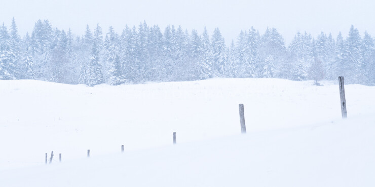OTI_PIERRE-LONCHAMPT_PL221203-00109