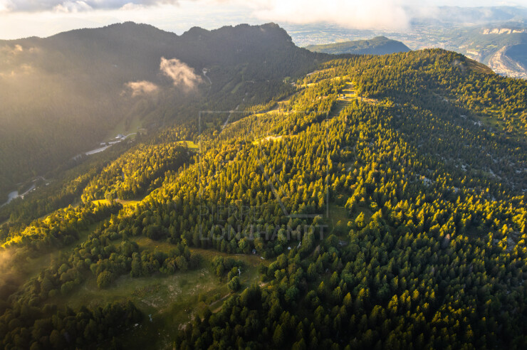 OTI_PIERRE-LONCHAMPT_PL250905-0308