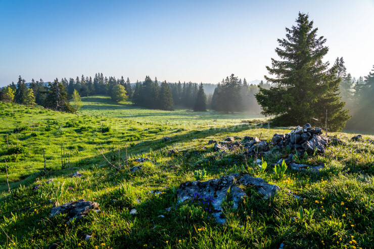 OTI_PIERRE-LONCHAMPT_PL230527-00147