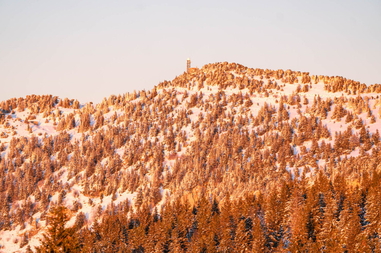 OTI_PIERRE-LONCHAMPT_PL231216-02193