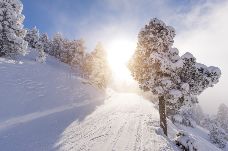 OTI_PIERRE-LONCHAMPT_PL171203-003