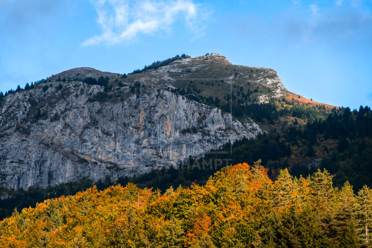 OTI_PIERRE-LONCHAMPT_PL251005-DSC9941