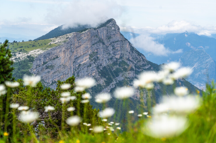 OTI_PIERRE-LONCHAMPT_PL240713-0440