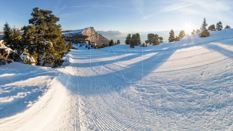 OTI_PIERRE-LONCHAMPT_PL180324-8135-PAN